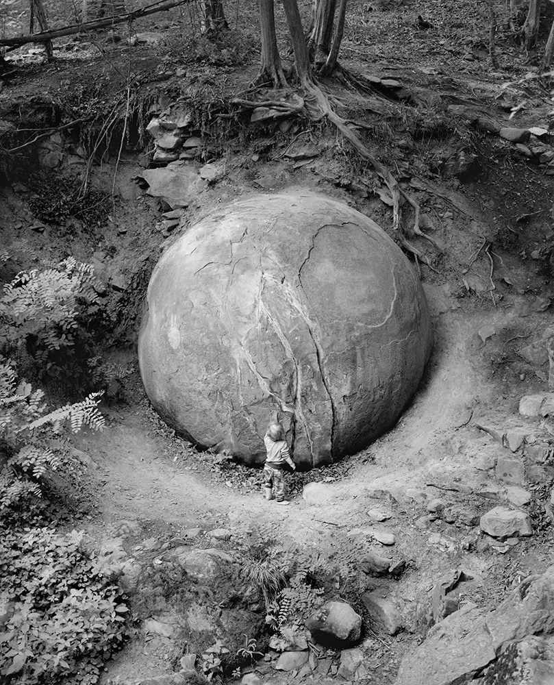 5 - Balazs Turos, de la serie The Nature of Things , 2018-