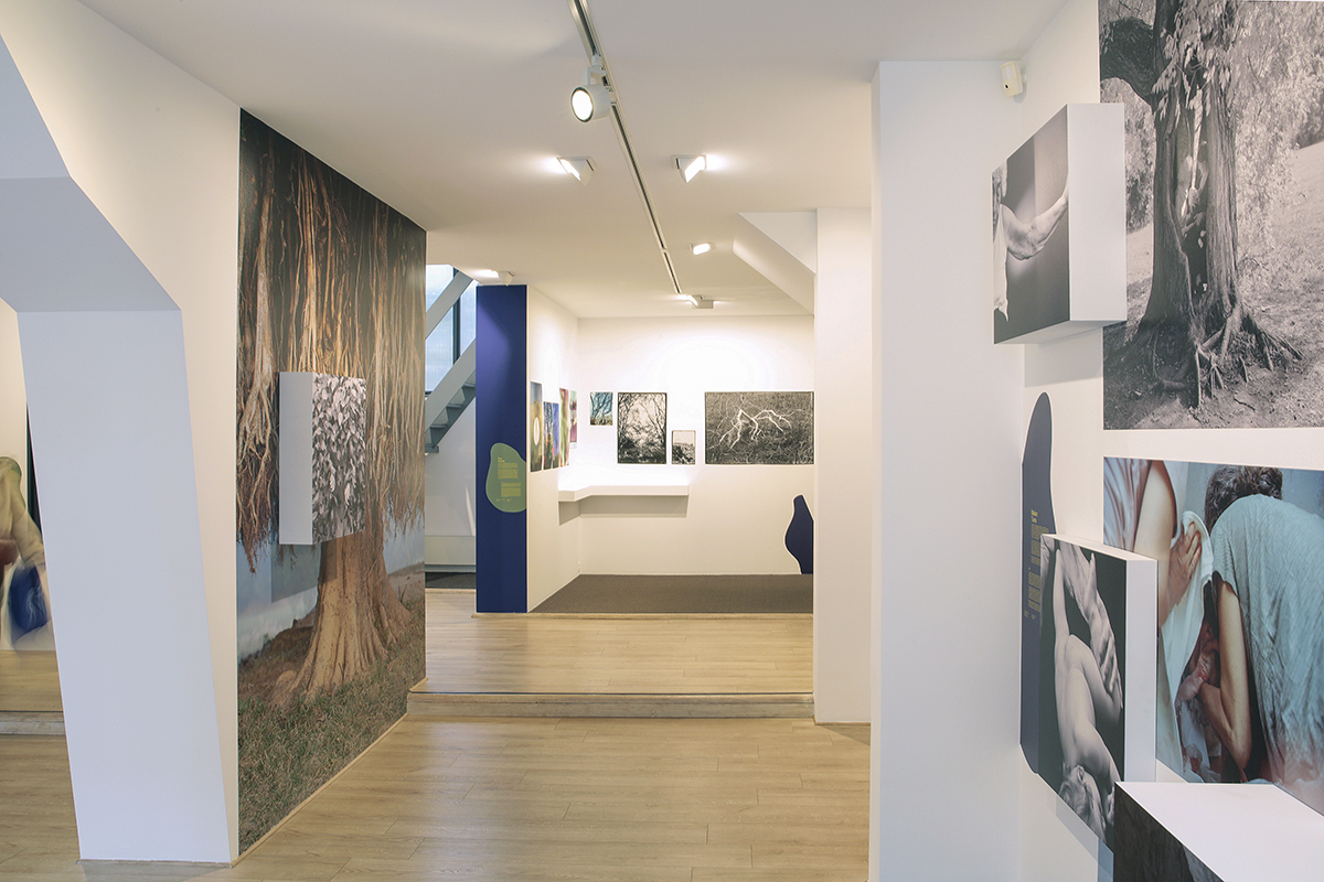 Exposition METAMORPHOSIS au Centre photographique Rouen Normandie, fevrier-mai 2026 15