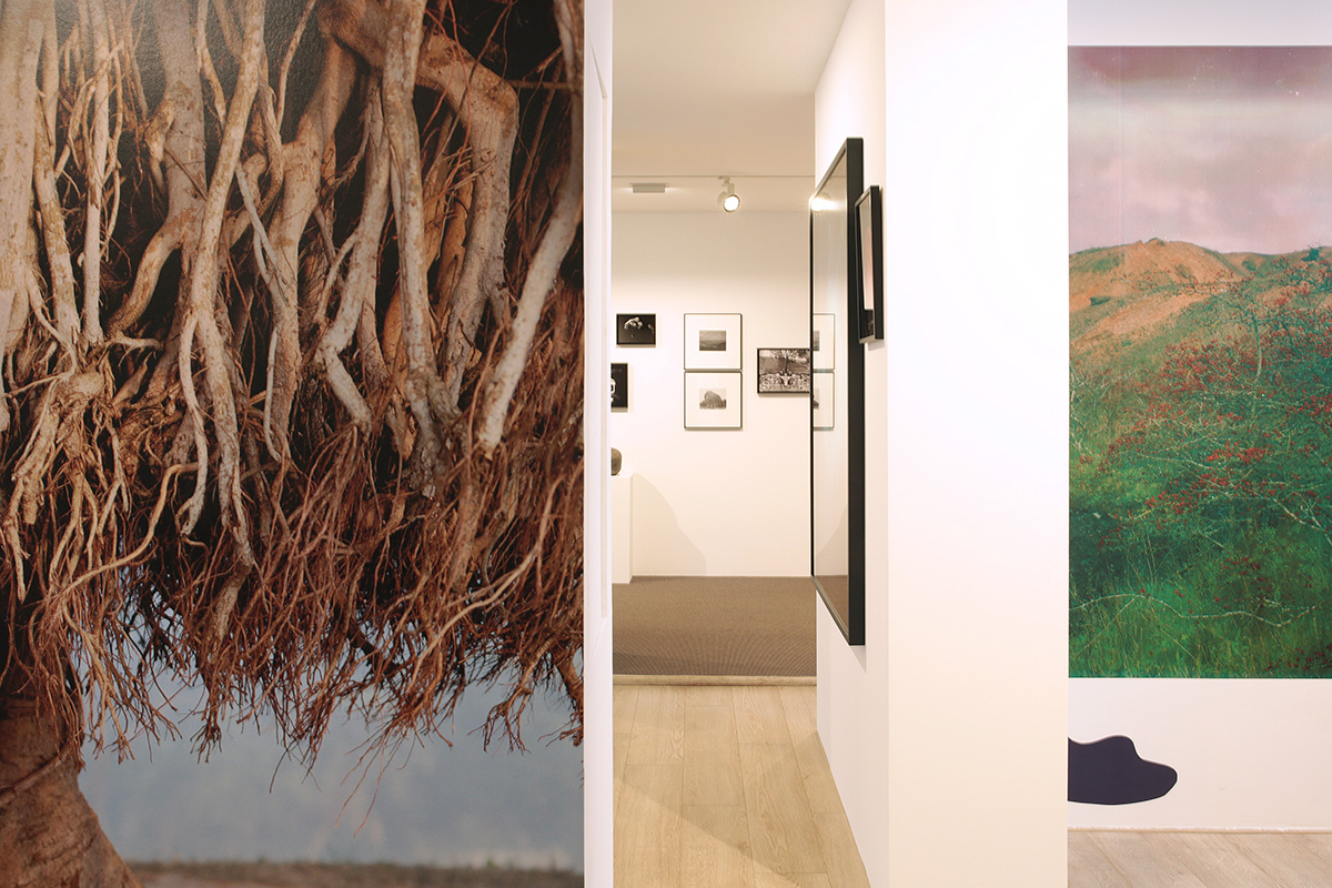 Exposition METAMORPHOSIS au Centre photographique Rouen Normandie, fevrier-mai 2026 20