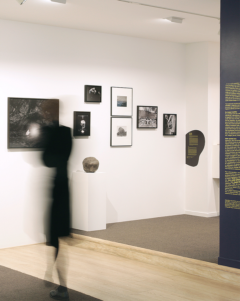 METAMORPHOSIS_Rouen_Emilia Martin 3