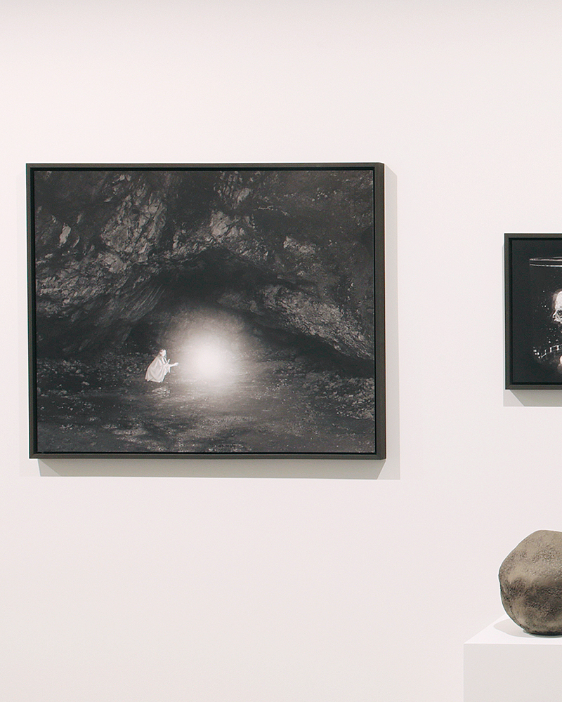METAMORPHOSIS_Rouen_Emilia Martin 4