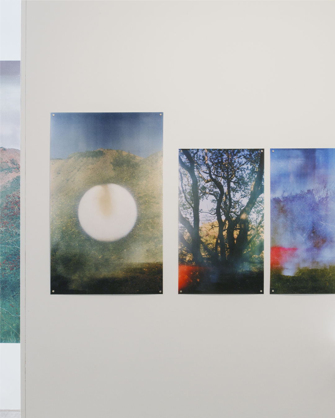 METAMORPHOSIS_Rouen_Zoe Hamill 1