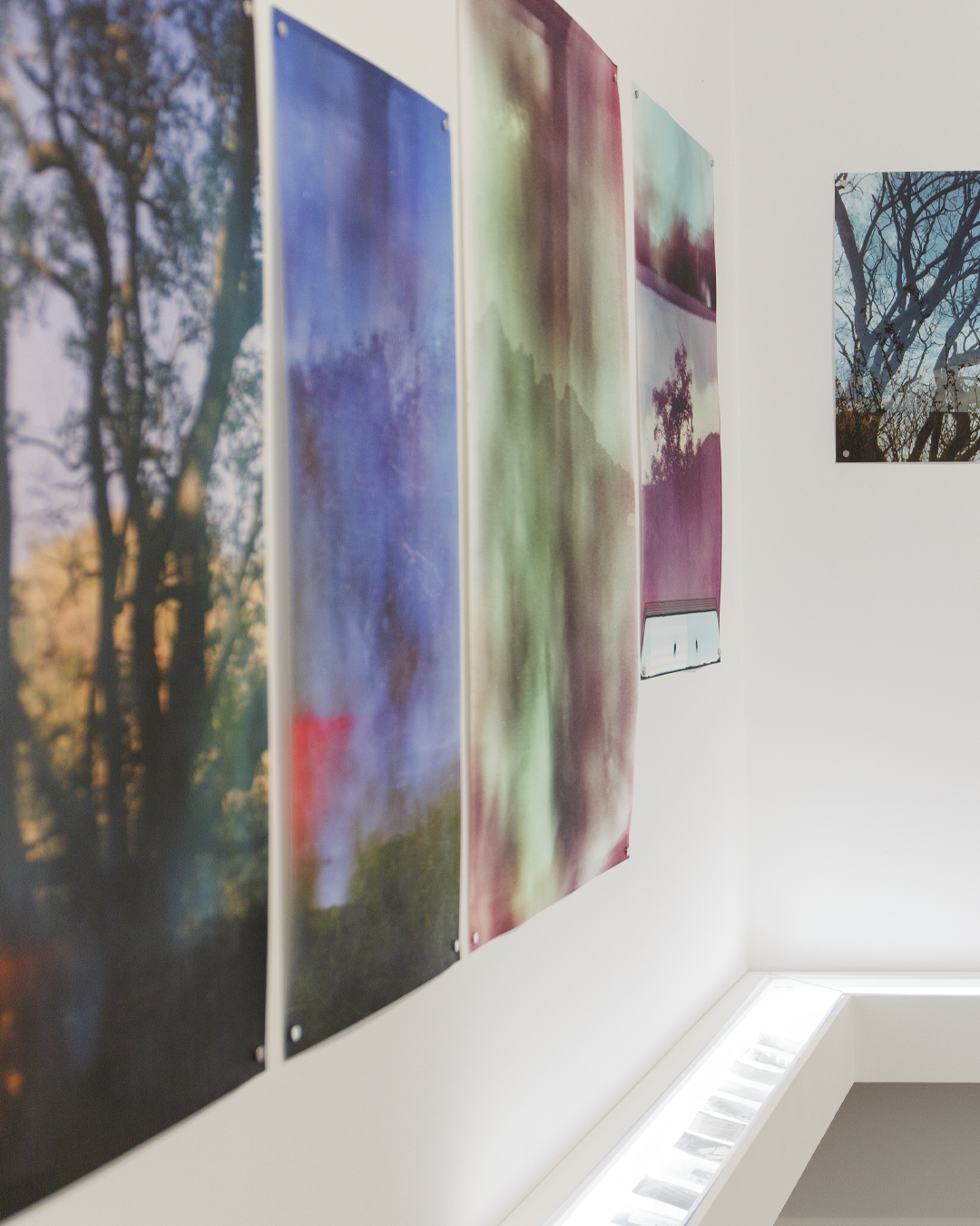 METAMORPHOSIS_Rouen_Zoe Hamill 5