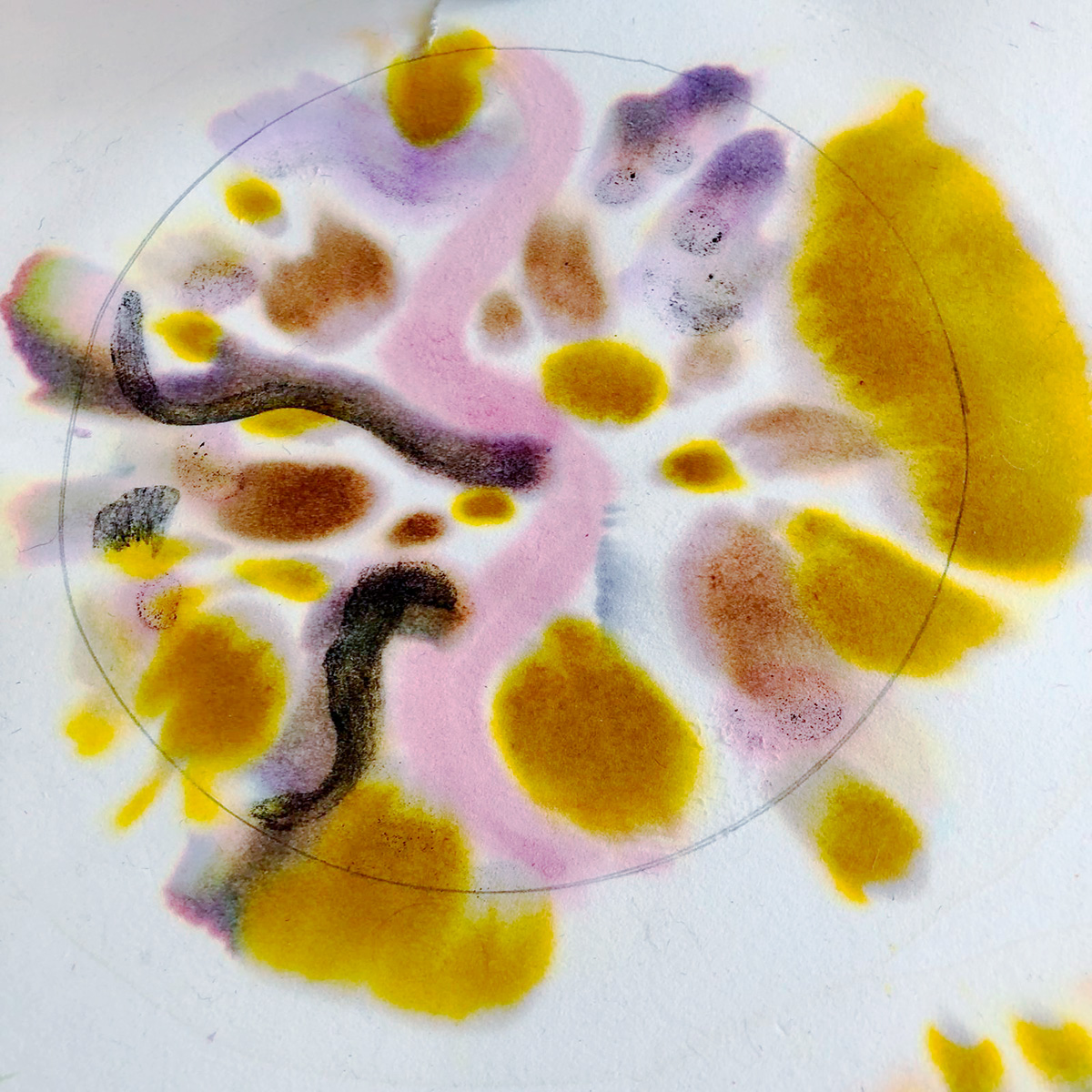 Vue d atelier Bille bang avec Sophie Grassart, exposition Metamorphosis, Centre photographique Rouen Normandie 4