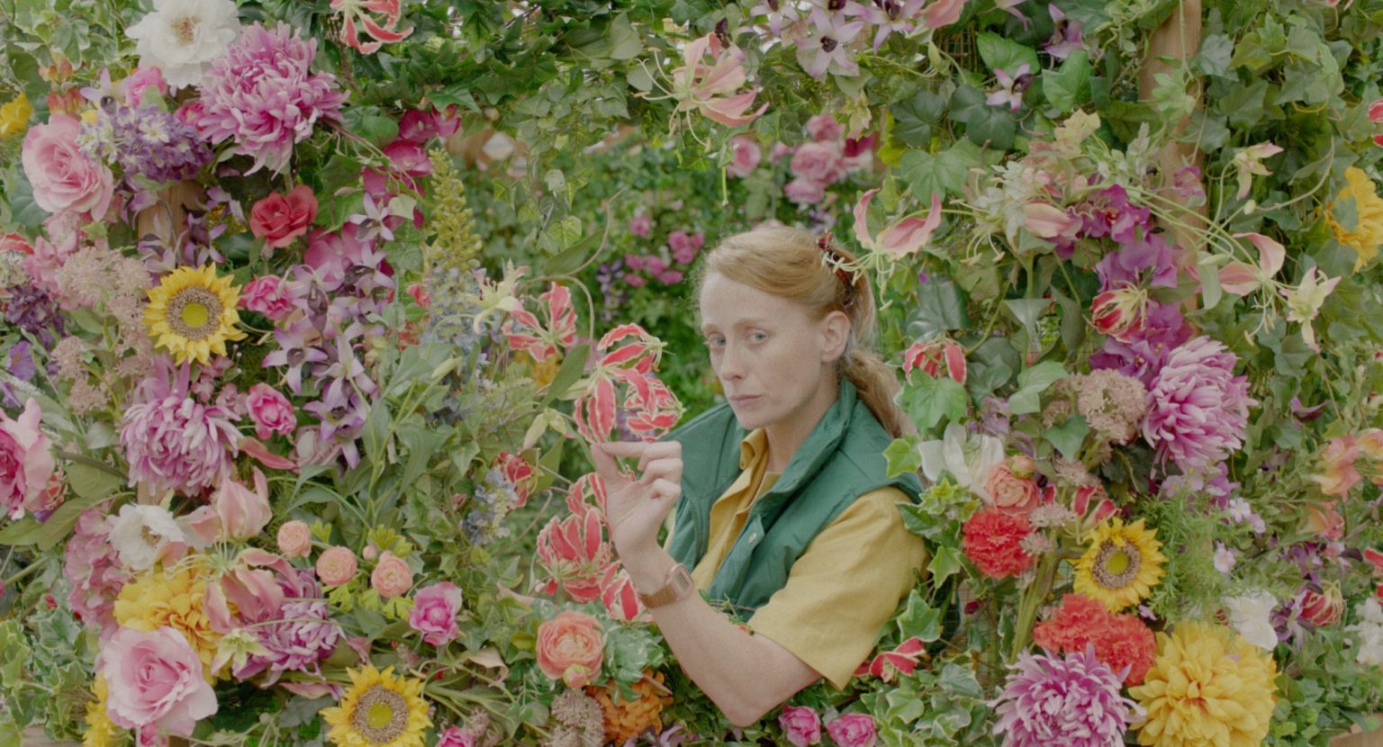 Botanica