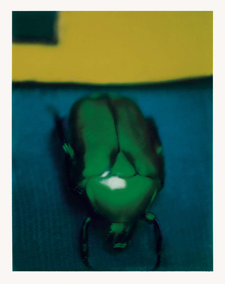 Sarah Moon - Le scarabee, 2003 © Sarah Moon : ADAGP, 2026