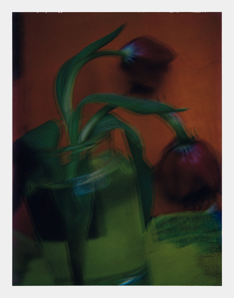 Sarah Moon - Les tulipes, 2003 © Sarah Moon : ADAGP, 2026 Centre photographique Rouen Normandie