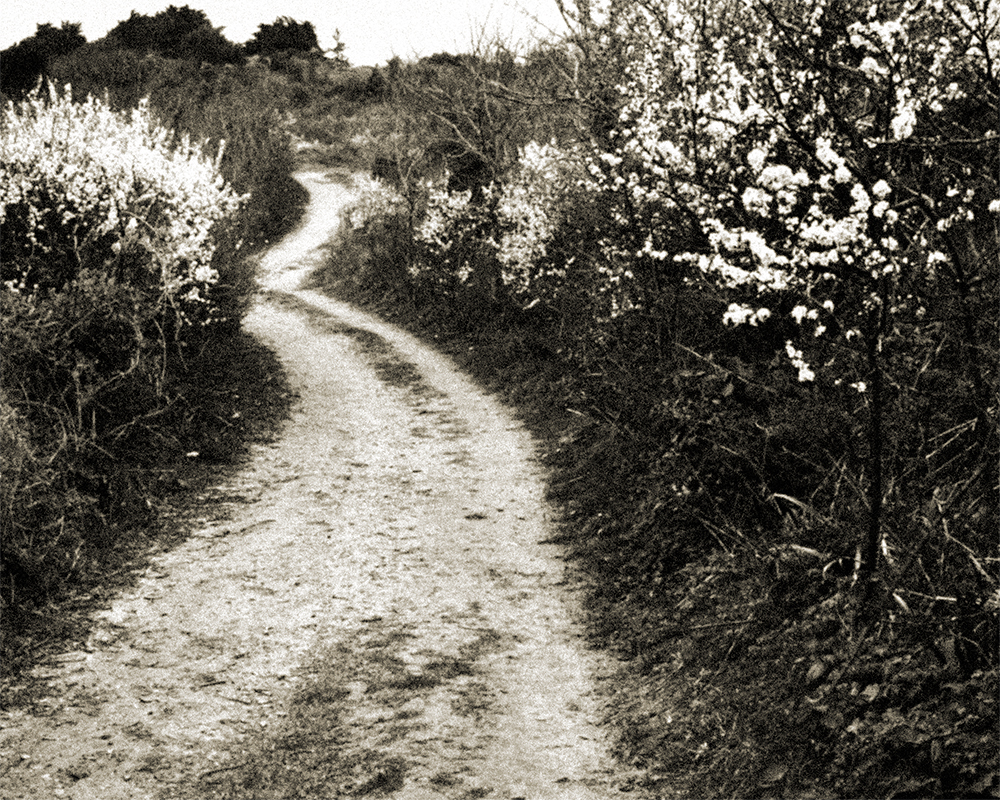 Sarah Moon - le chemin de randonnée, 2026 © Sarah Moon : ADAGP, 2026 Centre photographique Rouen Normandie