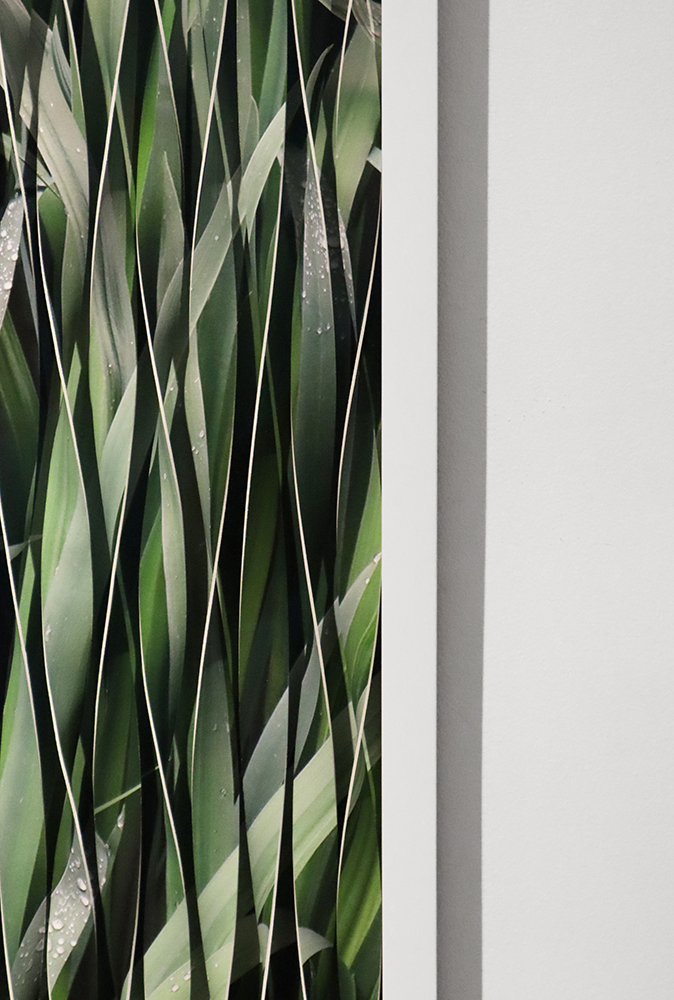 GARNIER_Marc Antoine_Torsades_2022 detail