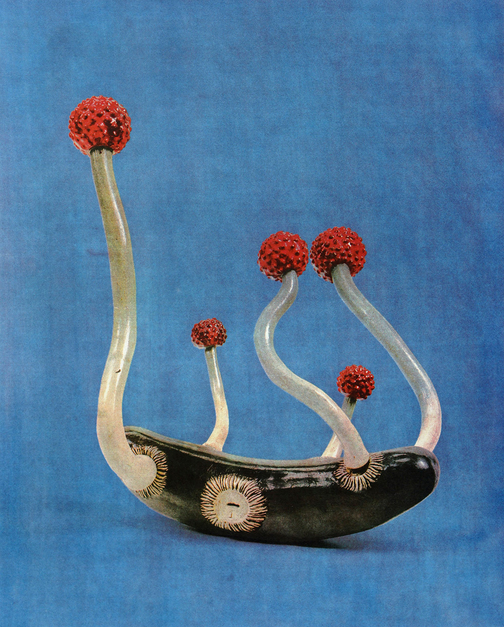 Laurent Millet, De l'enseignement de l'anatomie et des couleurs, 2, 2023, gomme bichromatée couleur