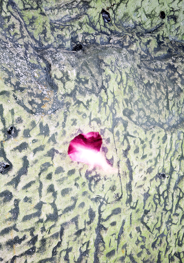Marleen Sleeuwits, Rhotomagin no. 5, 2023 copie