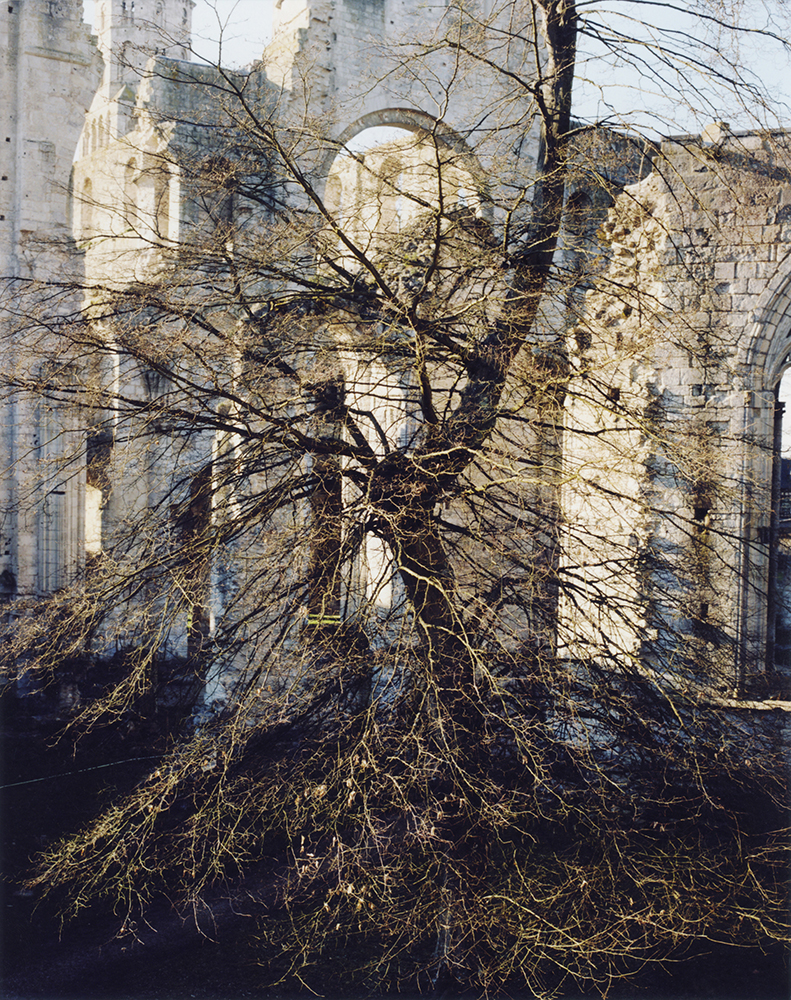Maxence Rifflet, Abbaye de Jumièges, de la série Boucles de la Seine, 2008