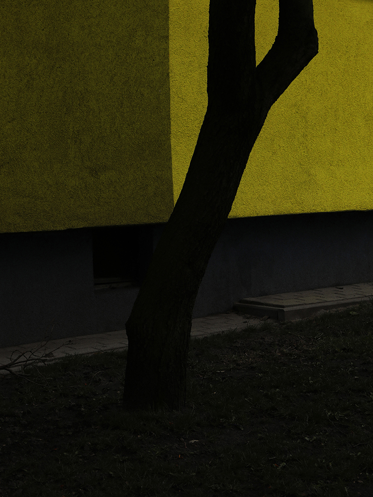 Nolwenn Brod, Hands, Warsaw 2021. Extrait du projet Time of immaturity12