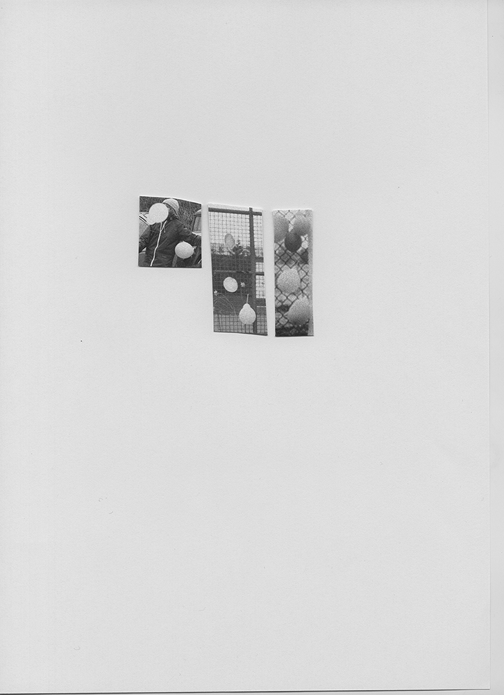 Pauline Hisbacq. Extrait du projet Songs for women and birds3