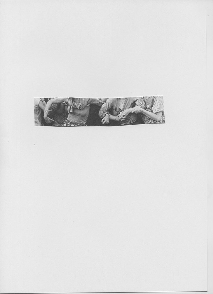 Pauline Hisbacq. Extrait du projet Songs for women and birds7