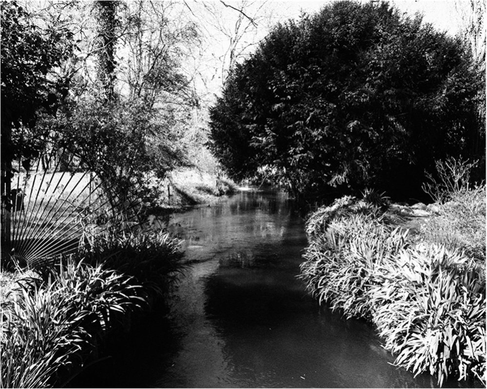 Sarah Moon Giverny 2, 2026, exposition D'après nature