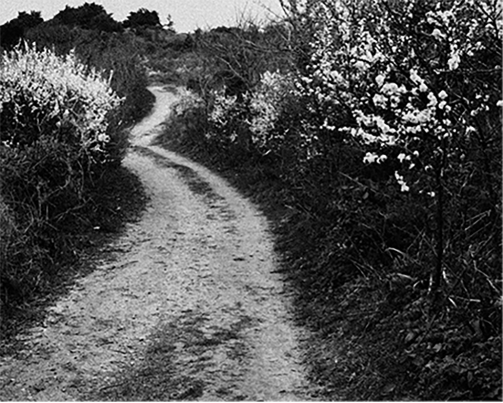 Sarah Moon Le chemin, 2026, exposition D'après nature