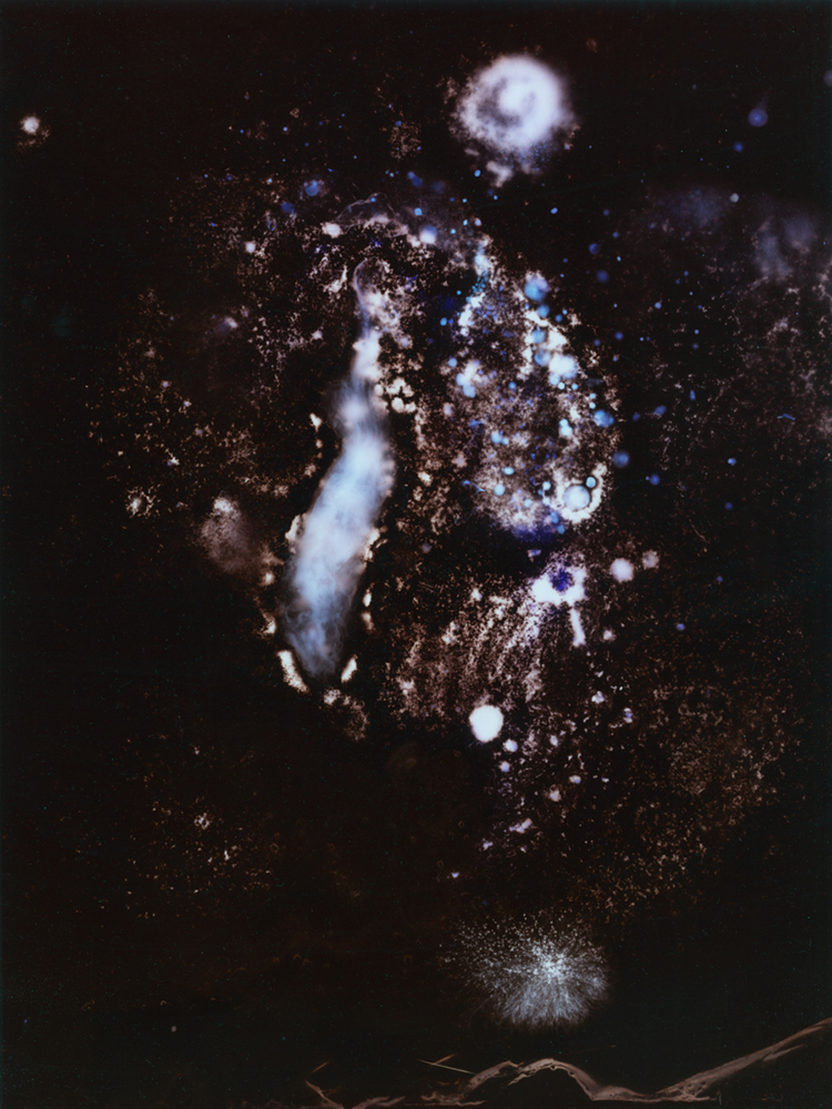 Les Ombres de nos constellations, bacteries,