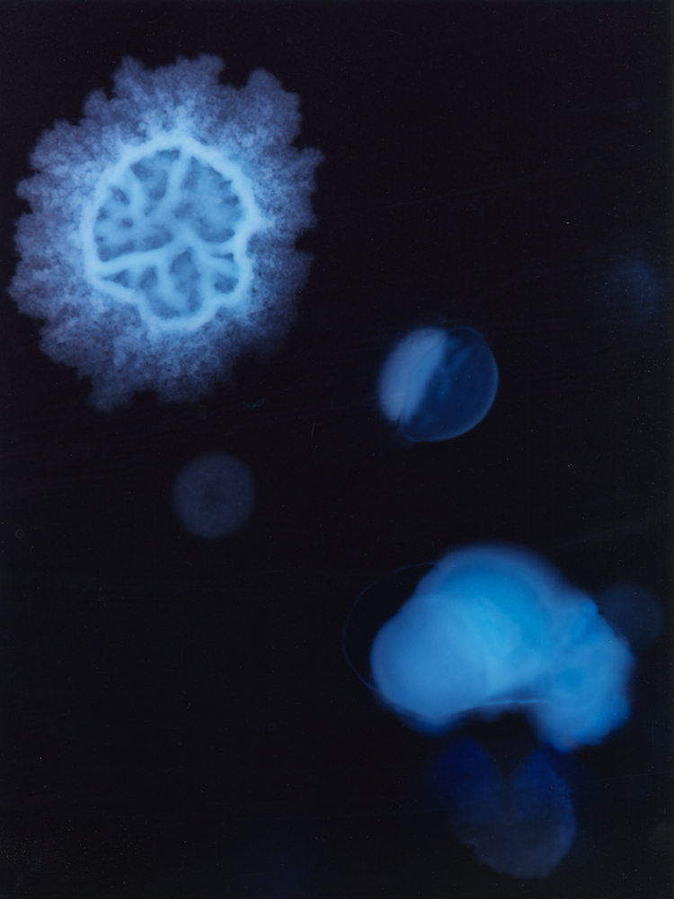 Les Ombres de nos constellations, bacteries,