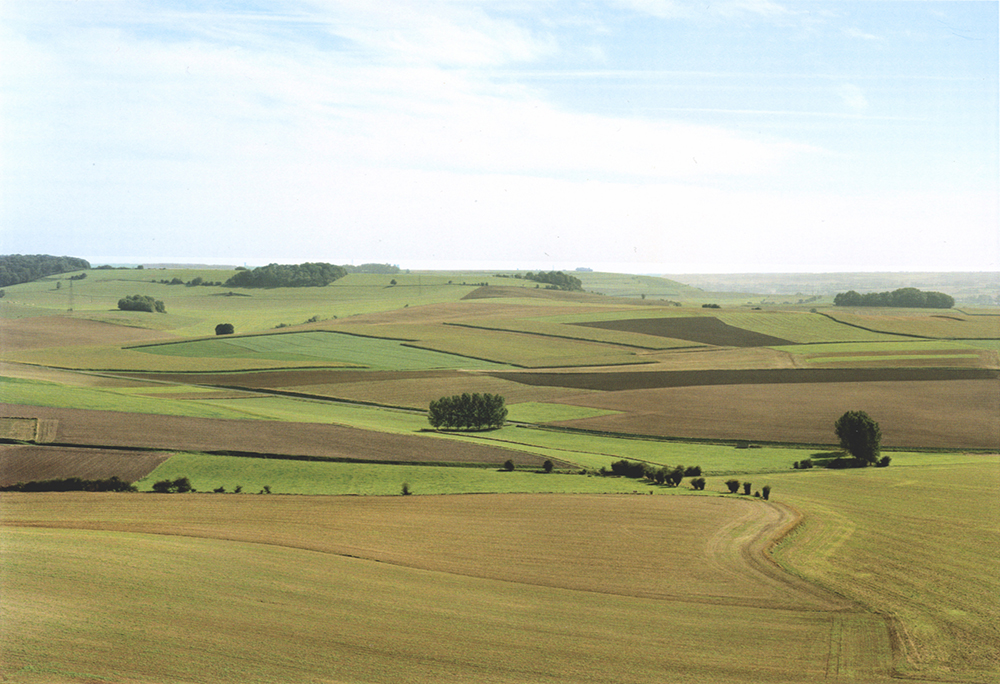 Thibaut Cuisset, Sans titre, D1314 - Environs de Londinières, de la série La boutonnière du Pays de Bray, 2006