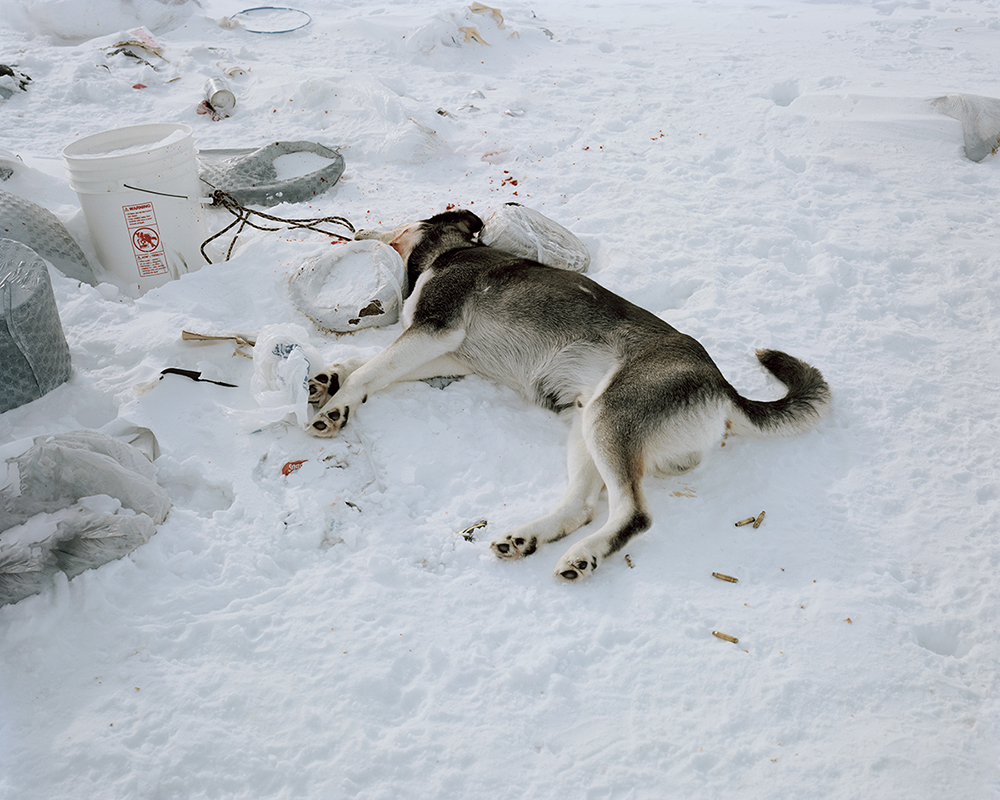 Verdier_Elliott_Tomorrow's Gone_026