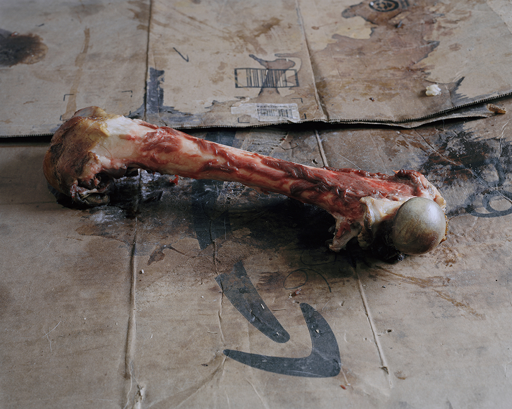 Verdier_Elliott_Tomorrow's Gone_027